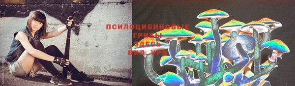 mdpv Россошь